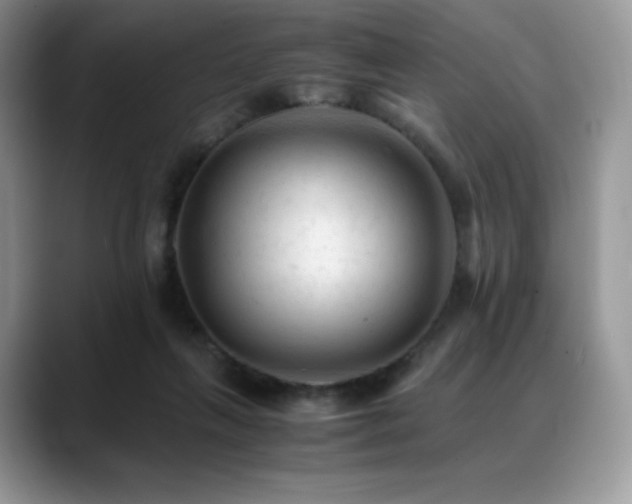 X0000088910263200706081347