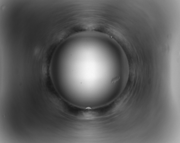 X0000088910268200706081347