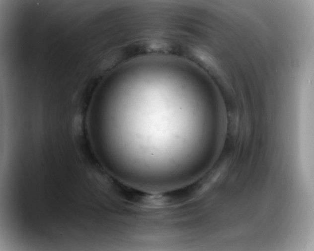 X0000088910269200706081347