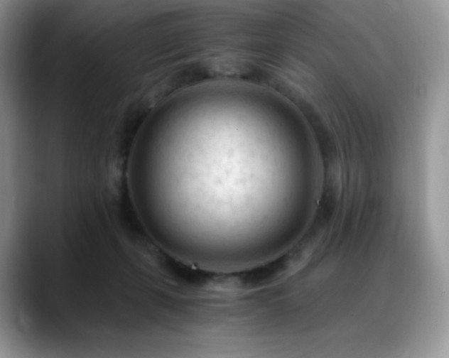 X0000088910271200706081347