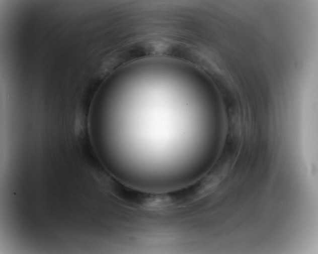 X0000088910274200706081347