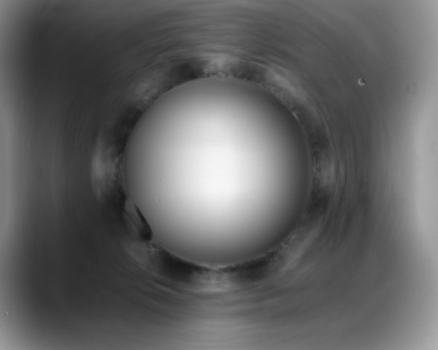 X0000088910276200706081347
