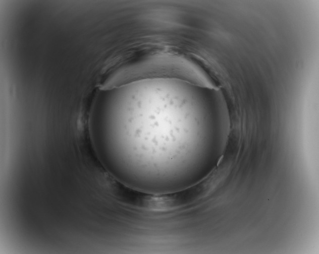 X0000088910277200706081347