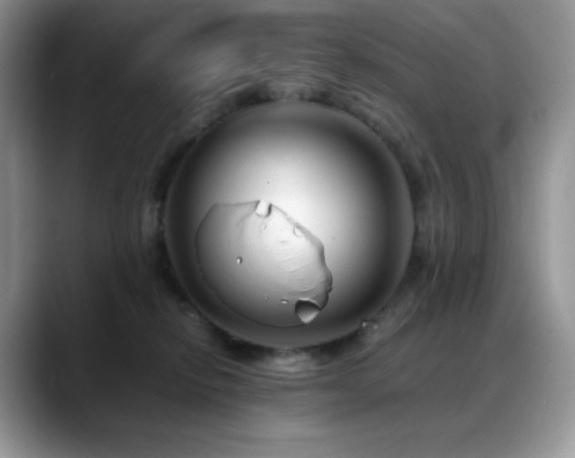 X0000088910278200706081347