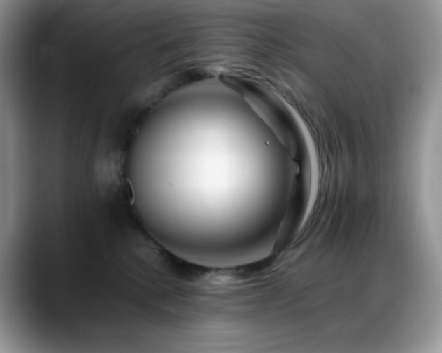 X0000088910280200706081347