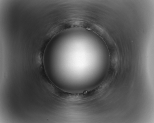 X0000088910282200706081347
