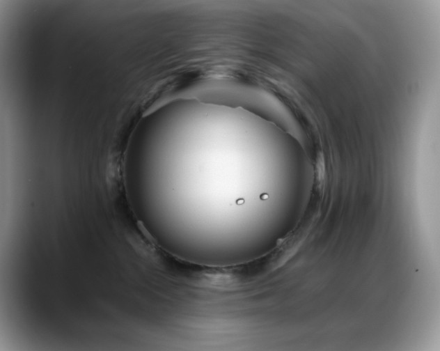 X0000088910284200706081347