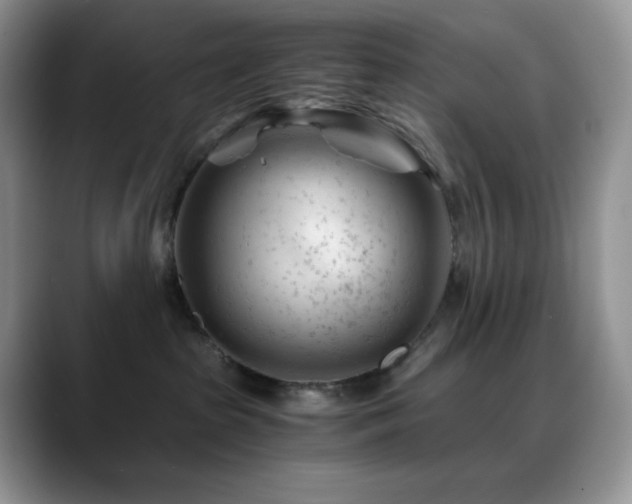 X0000088910285200706081347