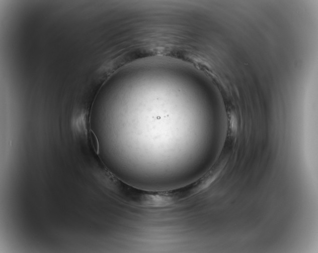 X0000088910286200706081347