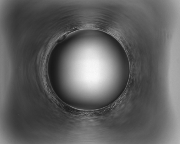 X0000088910289200706081346