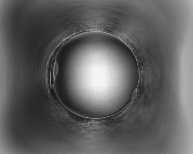 X0000088910290200706081346
