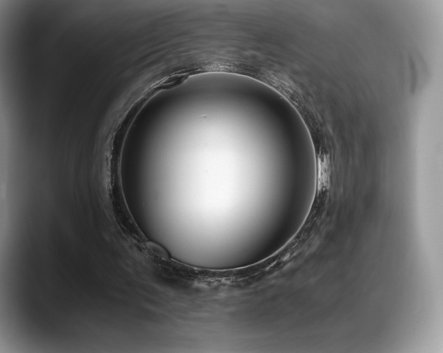 X0000088910291200706081346