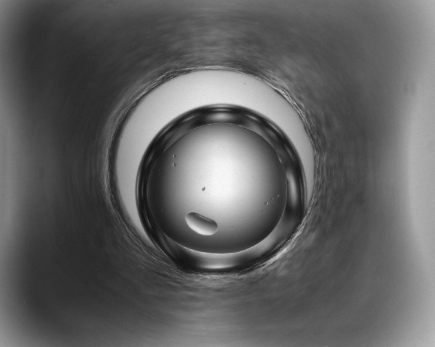 X0000088910293200706081346