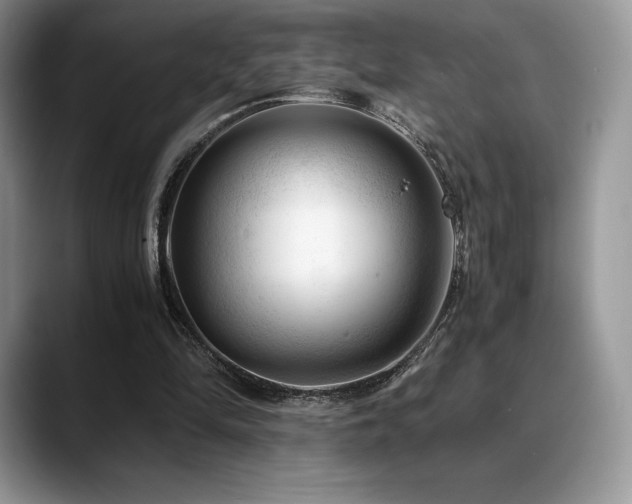 X0000088910294200706081346