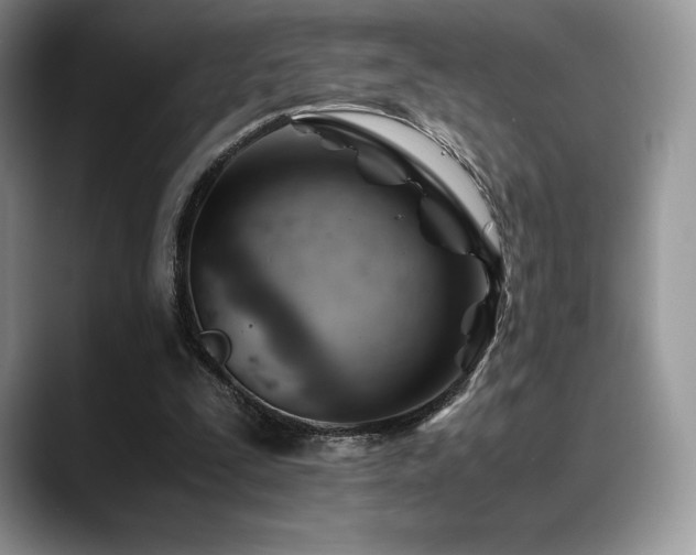 X0000088910295200706081346
