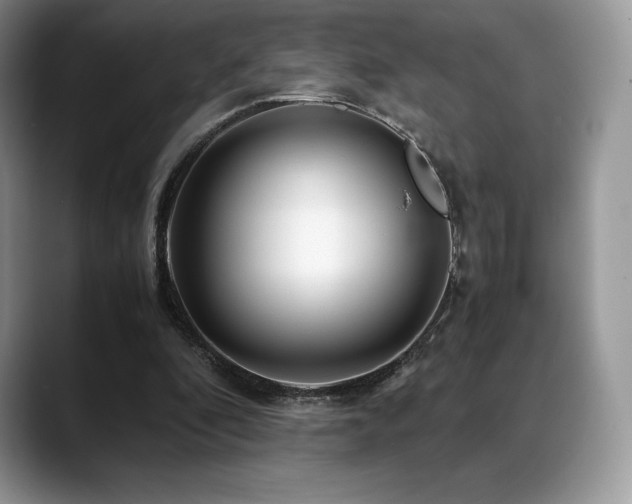 X0000088910296200706081346