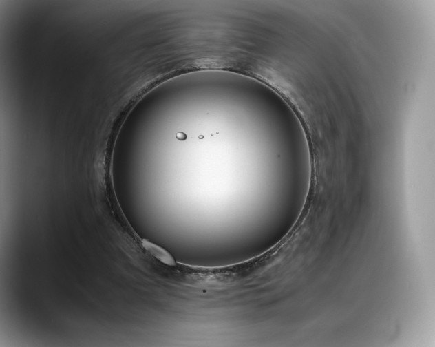 X0000088910297200706081346