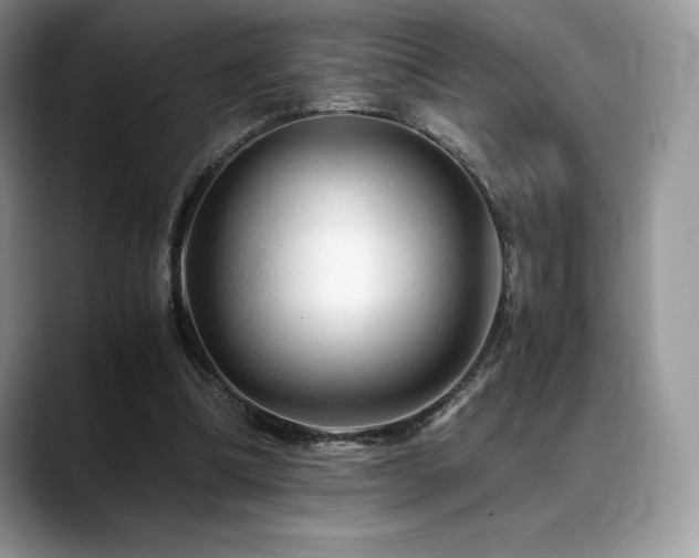X0000088910298200706081346