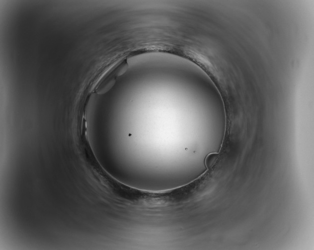 X0000088910299200706081346