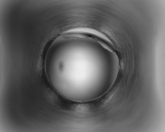 X0000088910303200706081346
