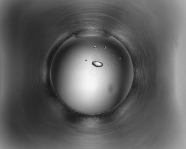 X0000088910304200706081346