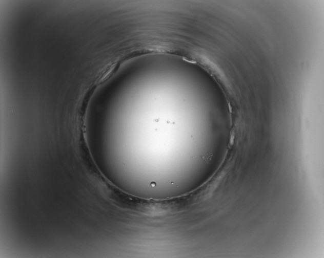 X0000088910305200706081346