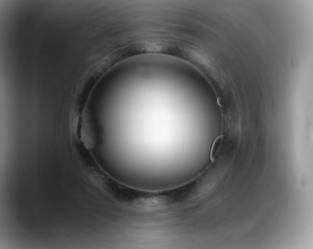 X0000088910307200706081346