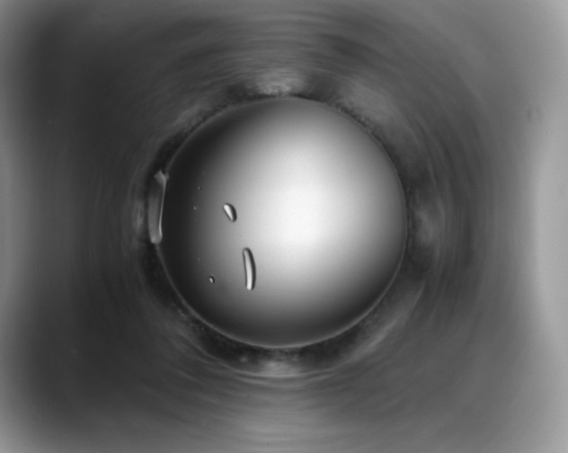 X0000088910308200706081346