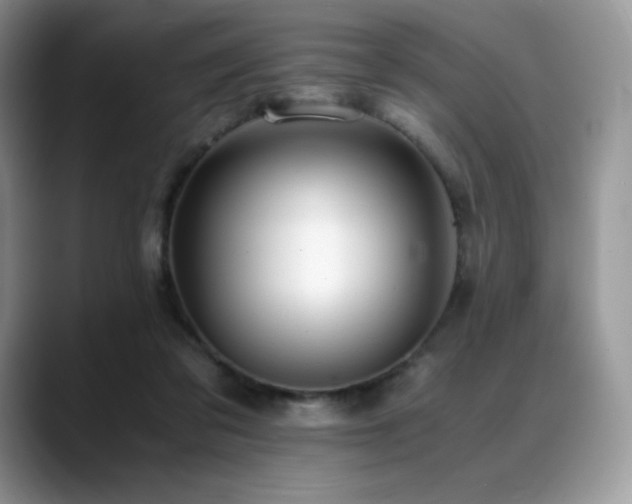 X0000088910309200706081346