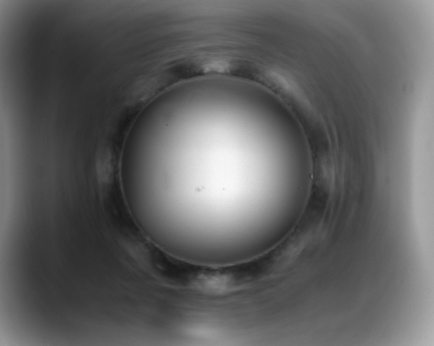 X0000088910311200706081346