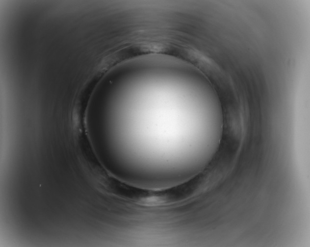 X0000088910312200706081346