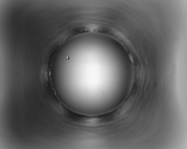 X0000088910313200706081346