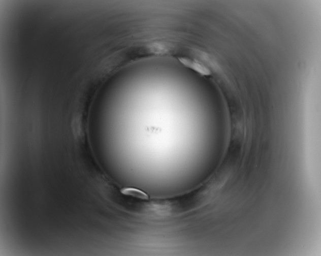 X0000088910317200706081346