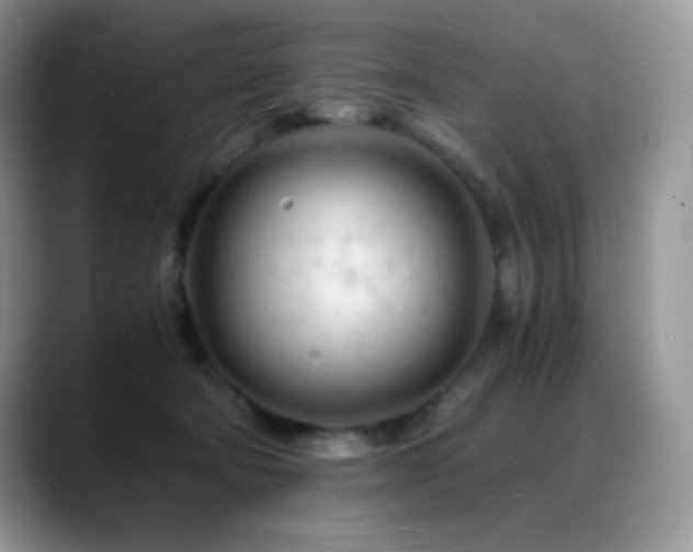 X0000088910322200706081346