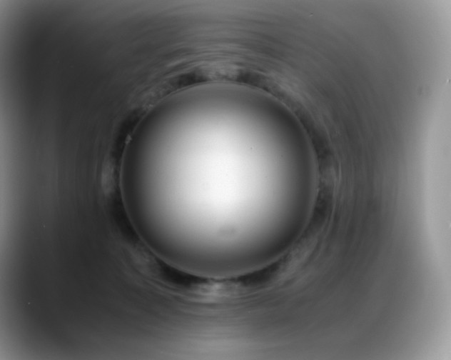 X0000088910323200706081346
