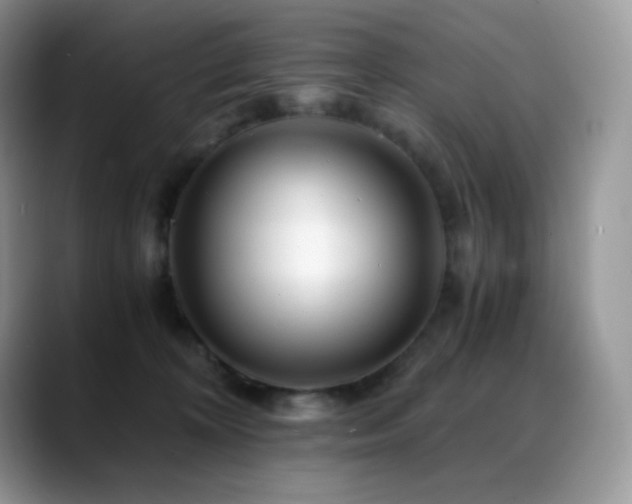 X0000088910324200706081346