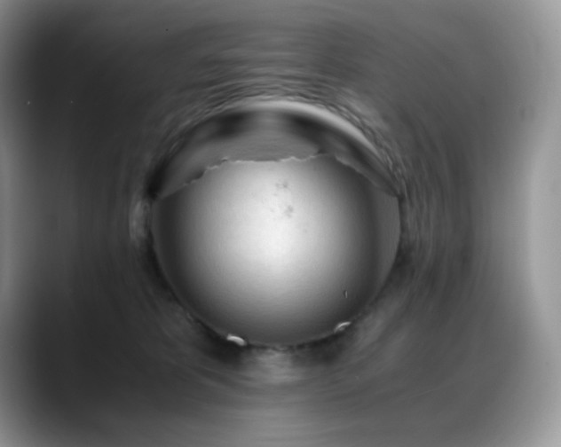X0000088910325200706081346