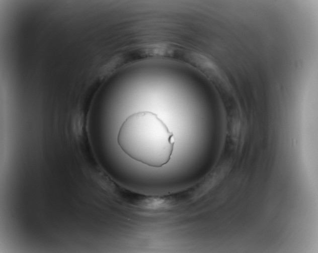 X0000088910326200706081346