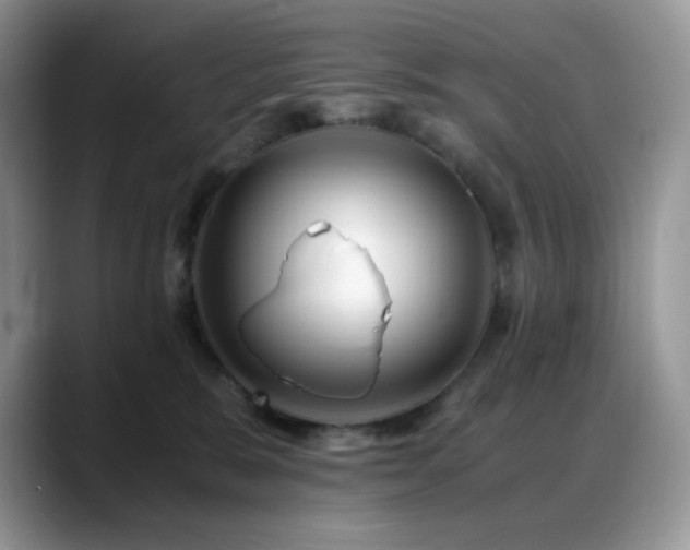 X0000088910327200706081346