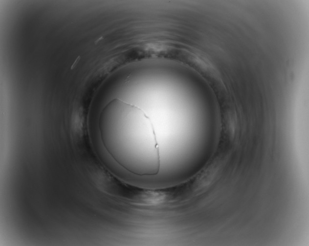 X0000088910328200706081346
