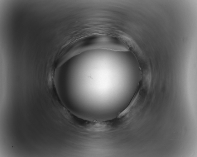 X0000088910329200706081346