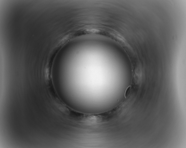 X0000088910330200706081346