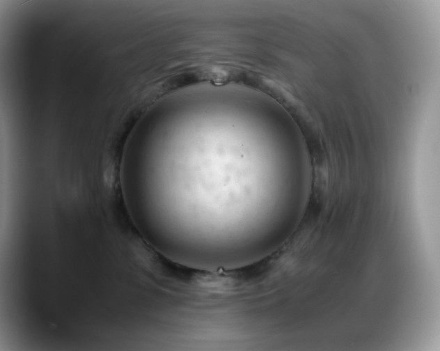 X0000088910331200706081346