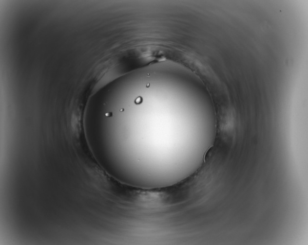 X0000088910332200706081346