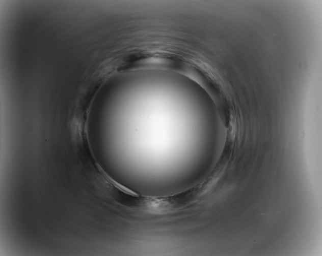 X0000088910333200706081346