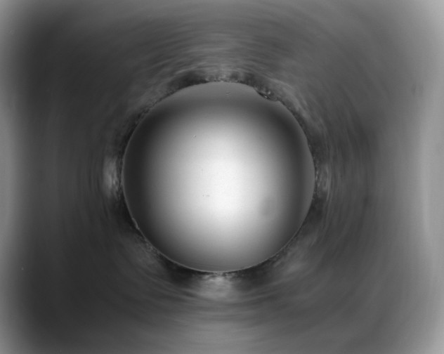 X0000088910335200706081346