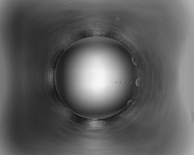 X0000088910336200706081346