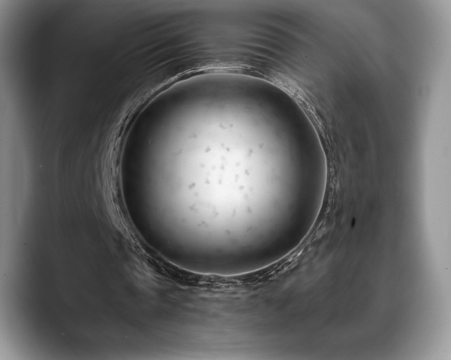 X0000088910337200706081345