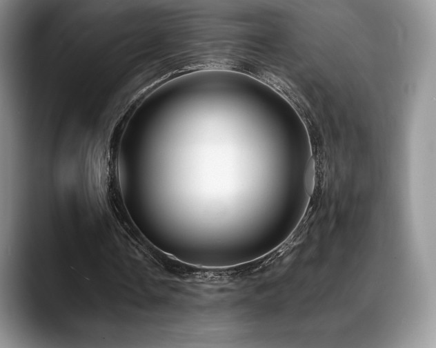 X0000088910338200706081345