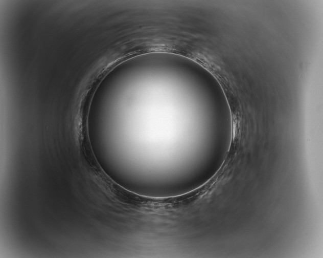 X0000088910339200706081345